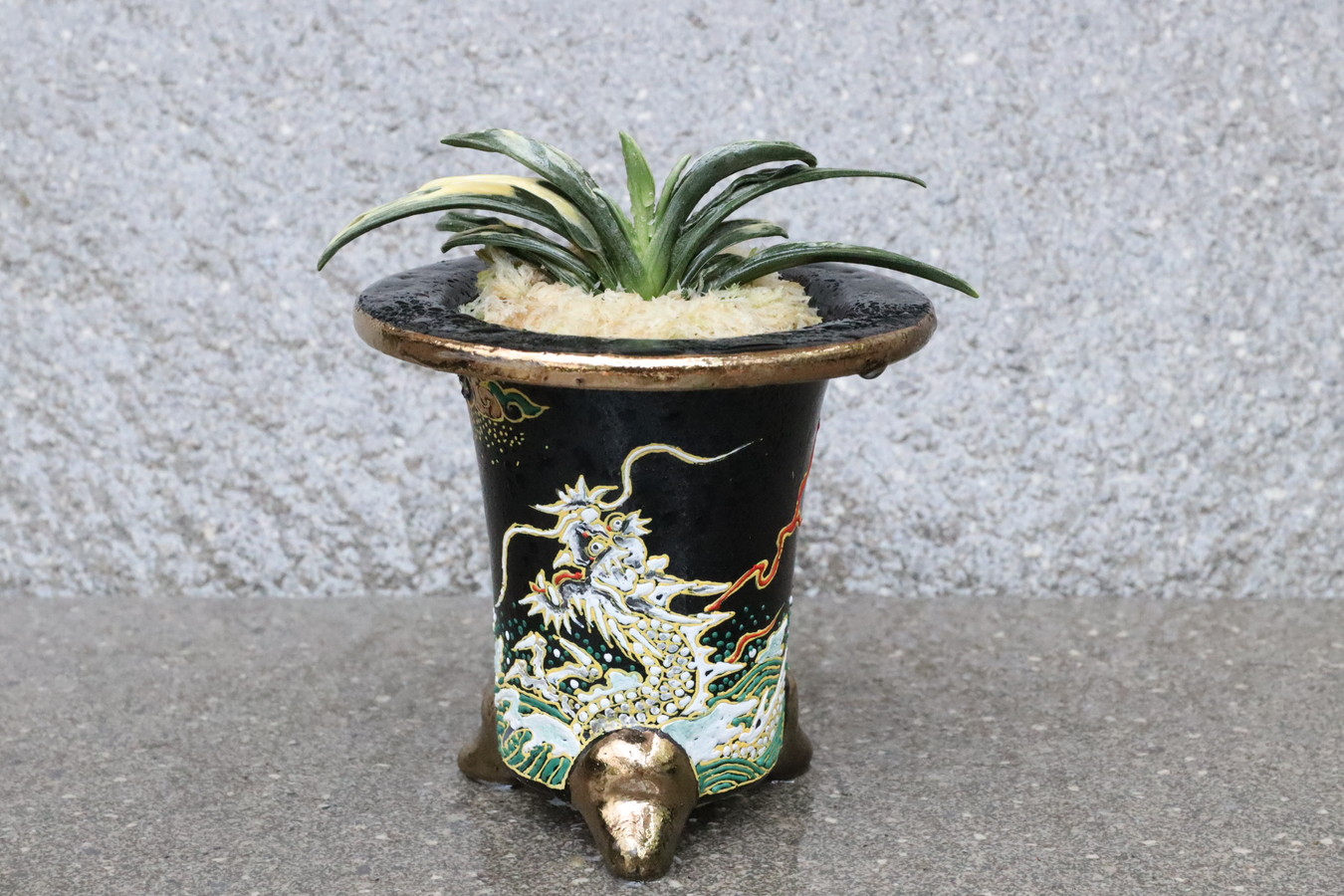 豊明園 / 引越しおもと