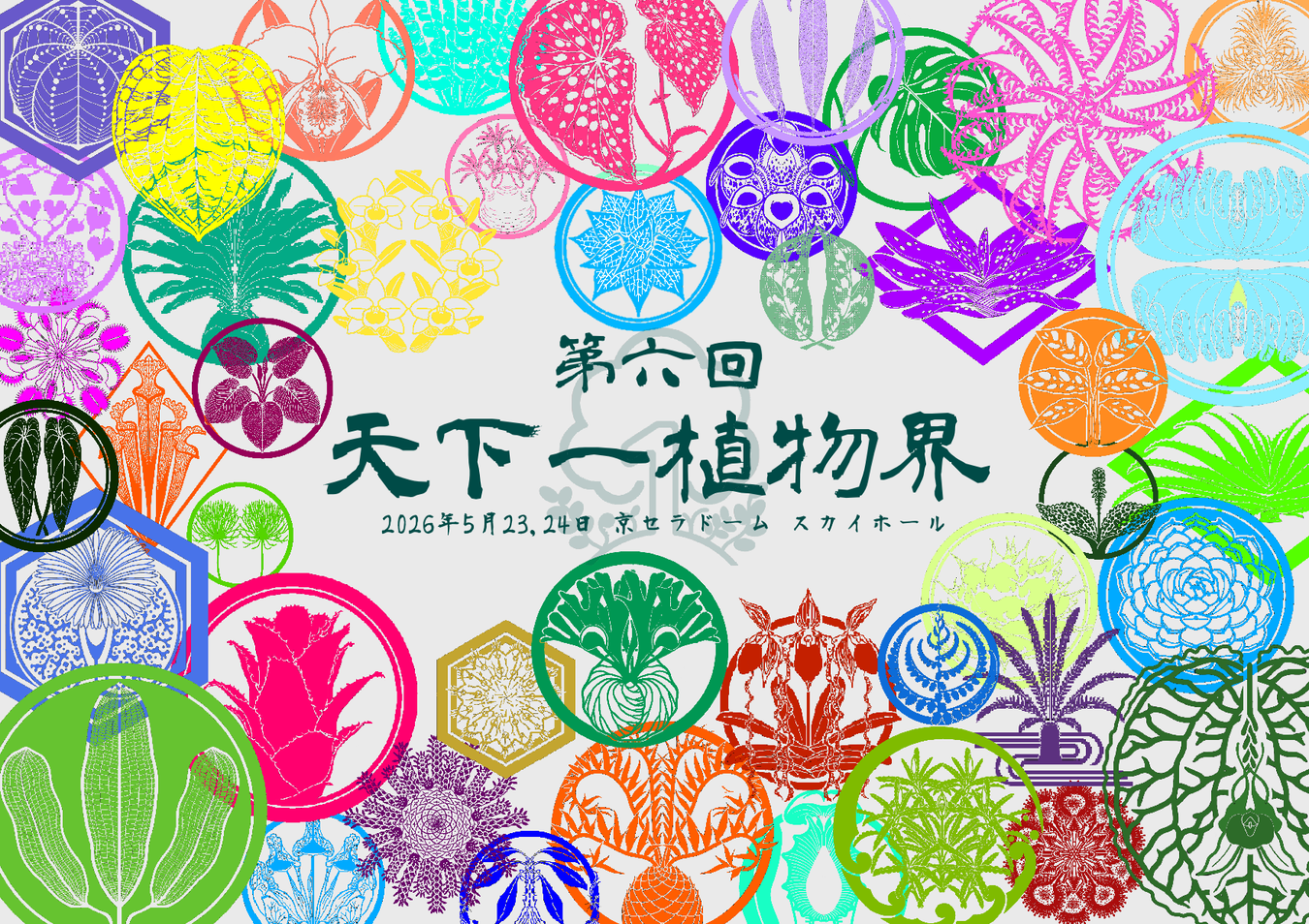 豊明園 / 羅紗