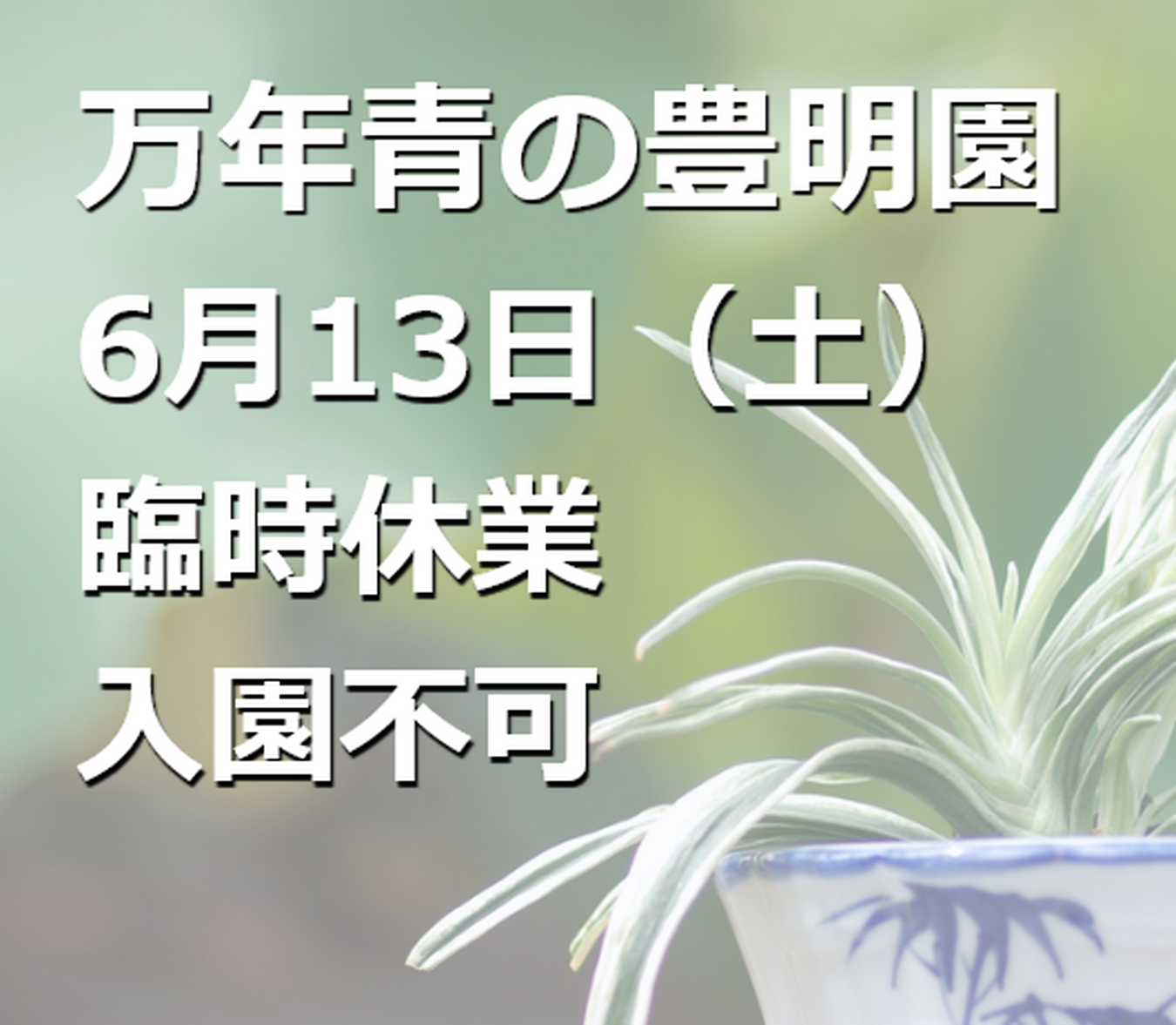 豊明園 / 羅紗