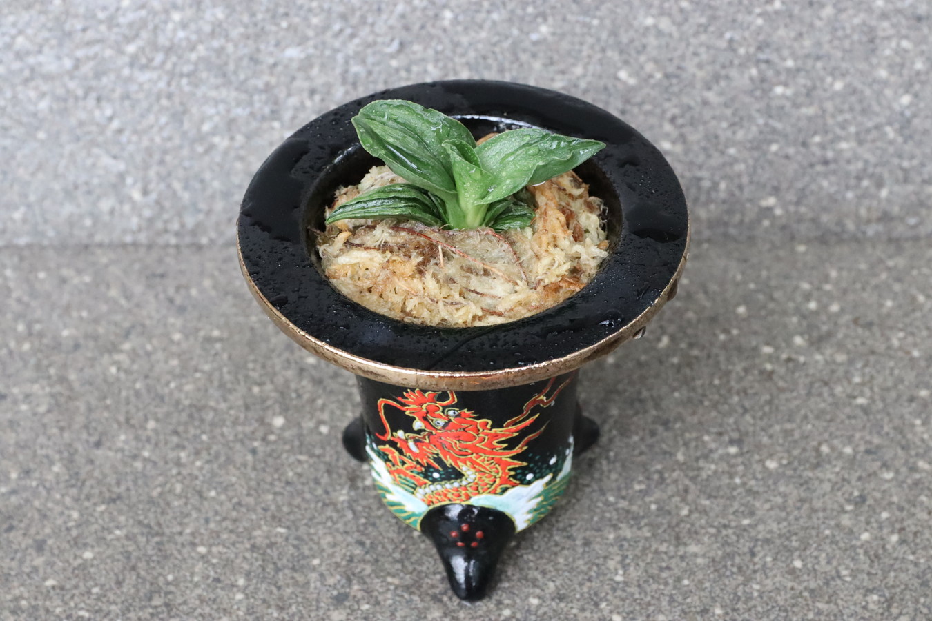 豊明園 / 高級 錦鉢入りなど