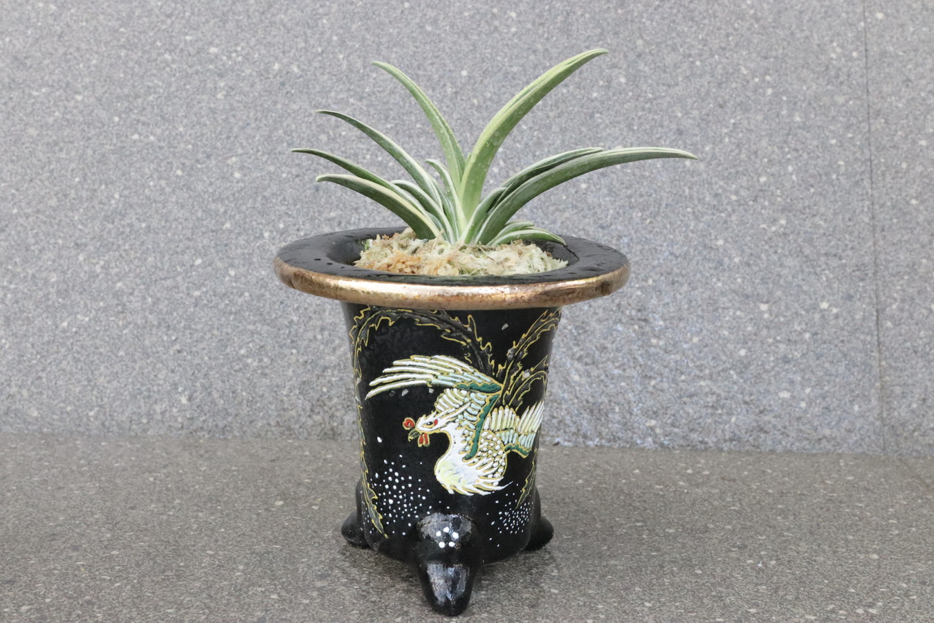 豊明園 / 全商品