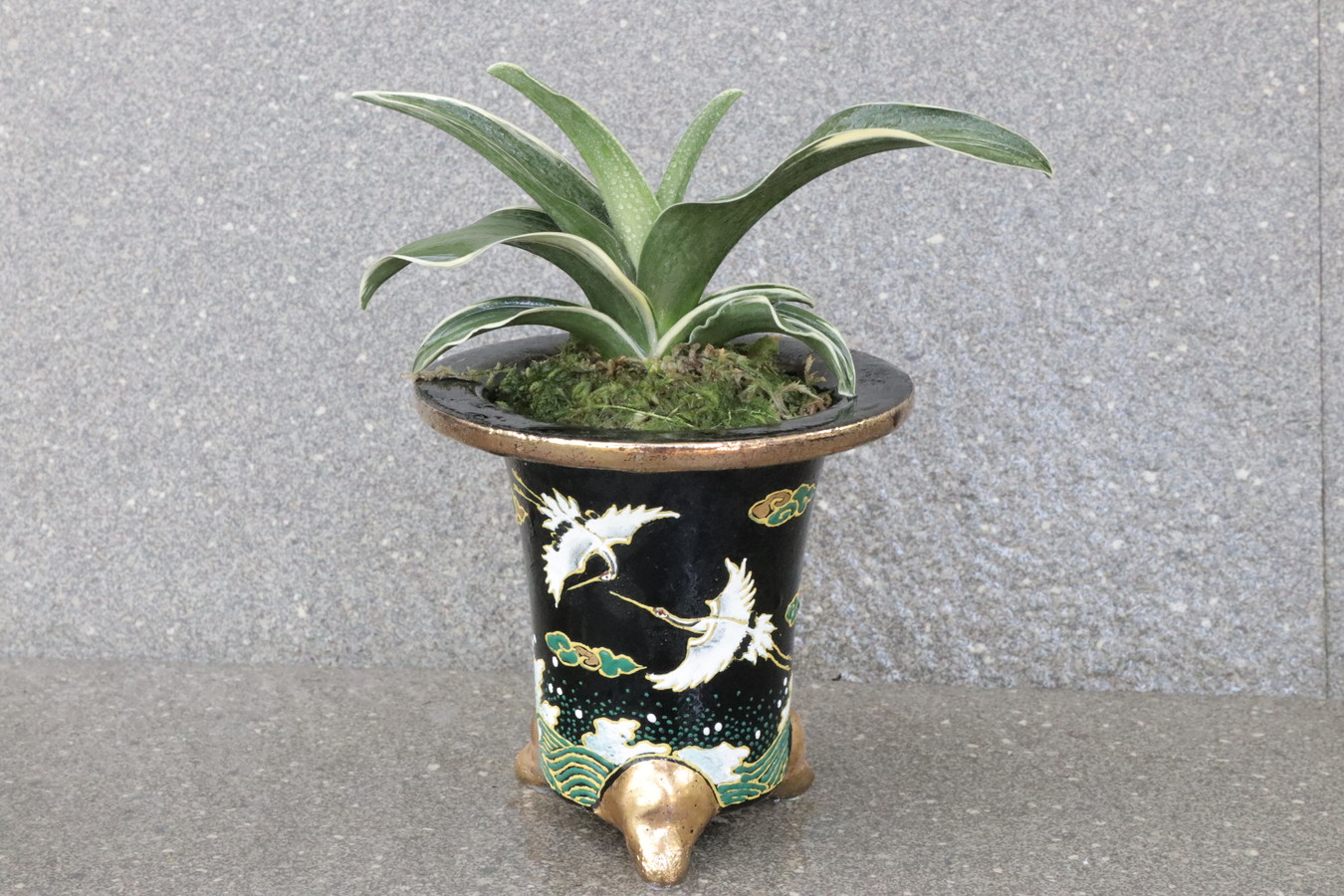 豊明園 / 全商品