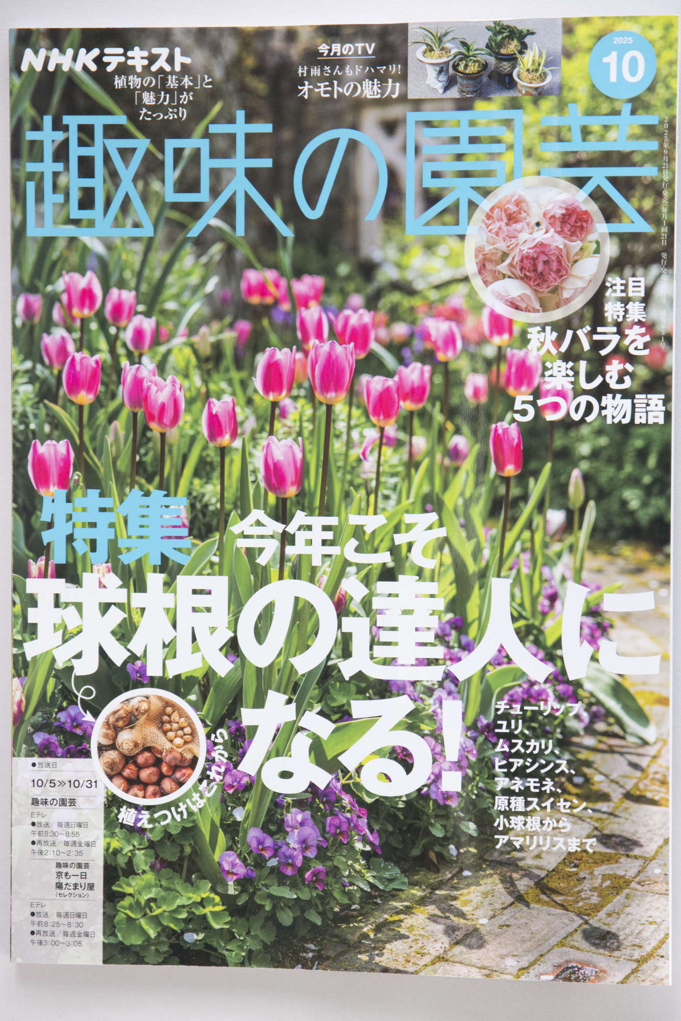 4225,NHK趣味の園芸　2025年10月号  [雑誌]　おもと記事6P掲載
