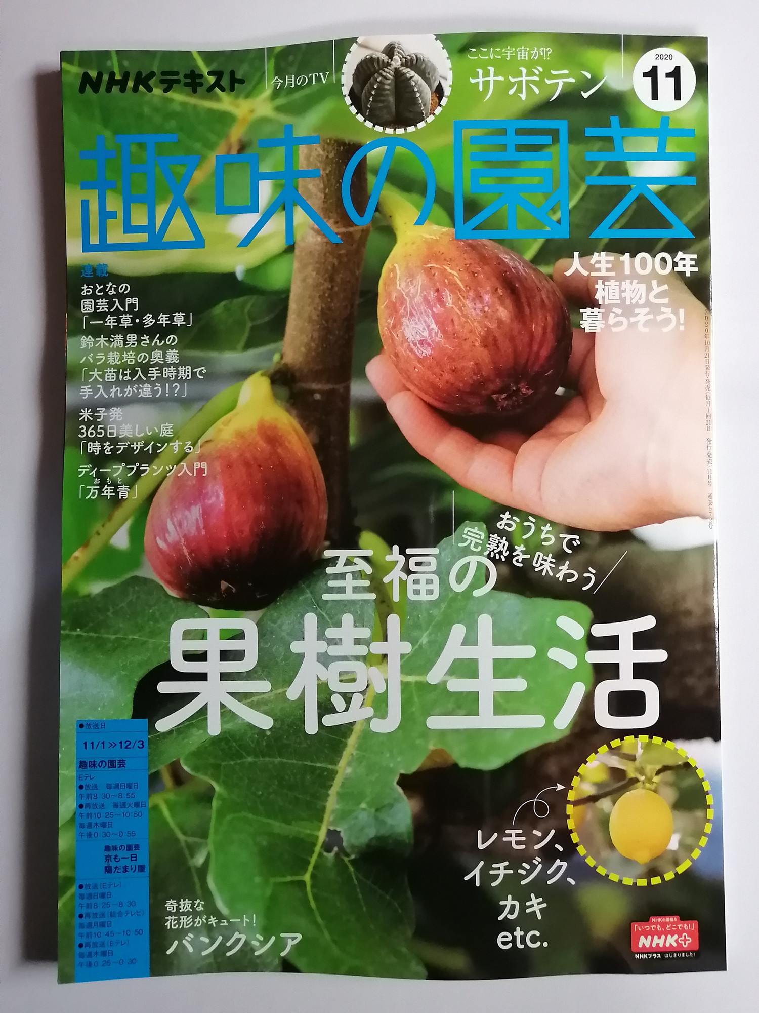 4117,NHKテキスト趣味の園芸 2020年 11 月号 [雑誌]