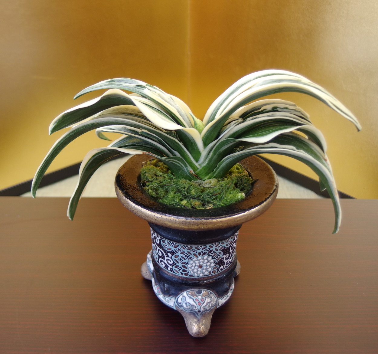 豊明園 / 6707,新生殿(しんせいでん) 1520, 全国トップ狙える系統 【は